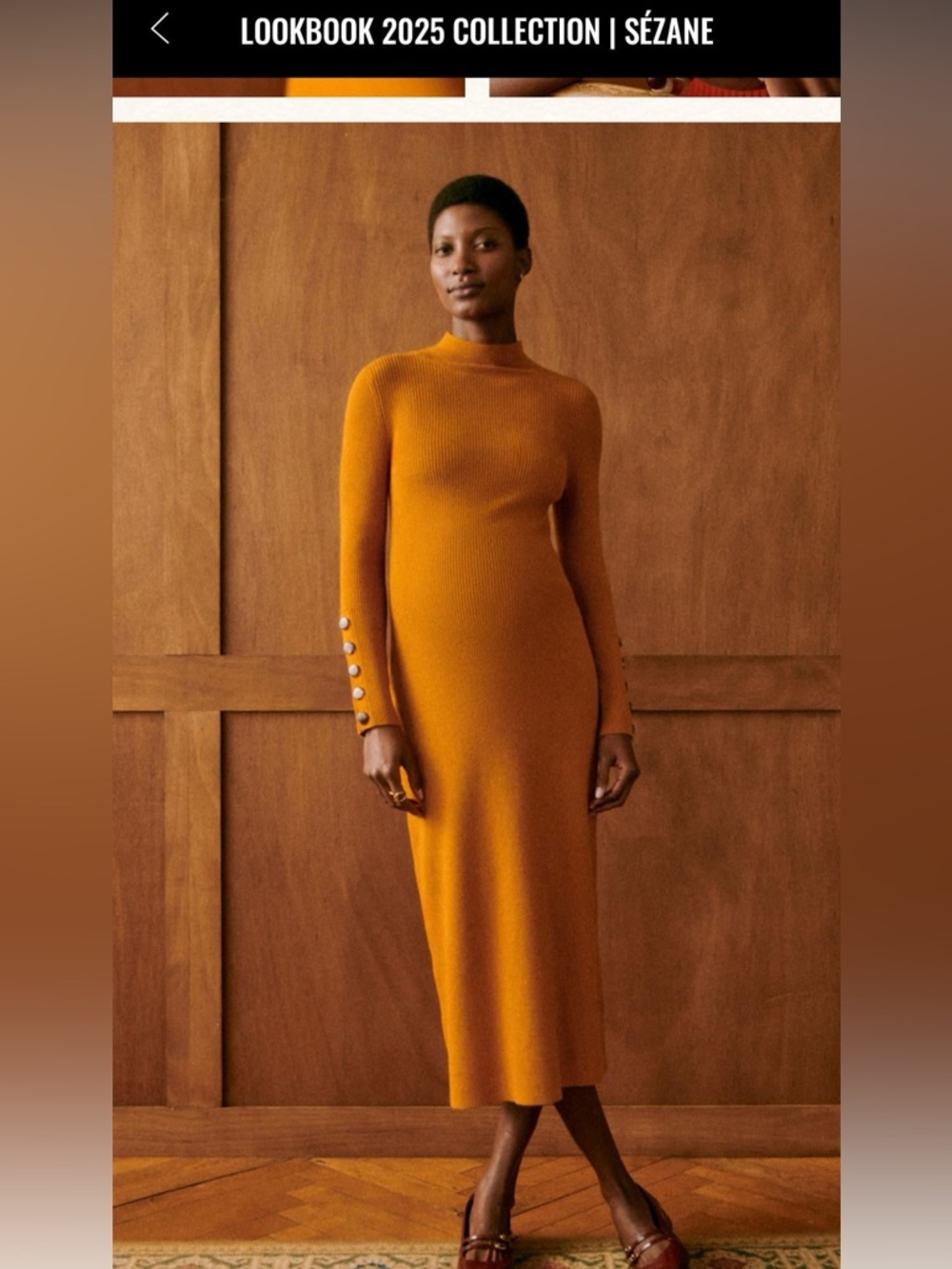 Sézane Hillary dress